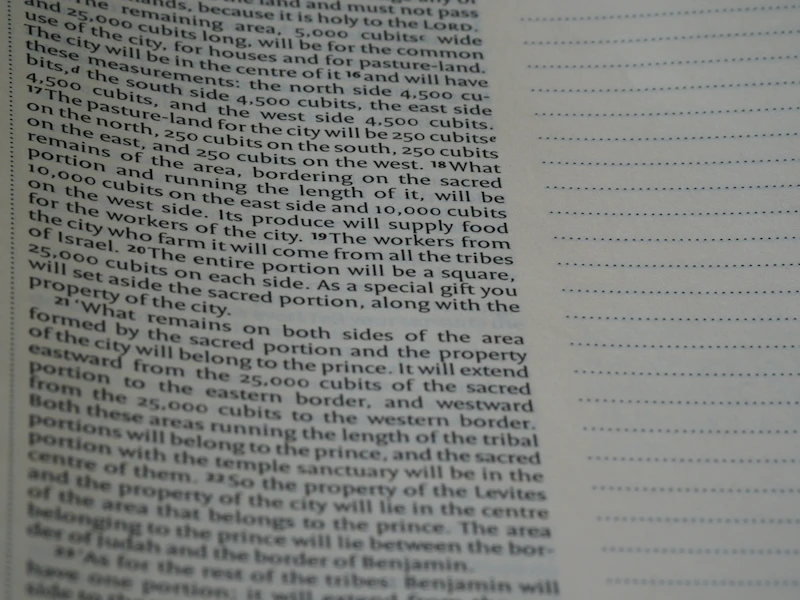How to Research a Property Before Bidding