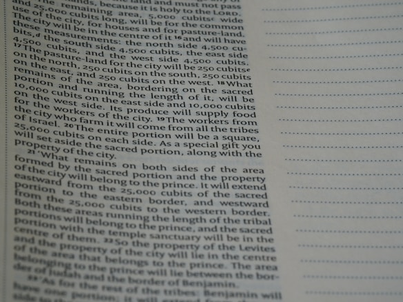 A close-up view of a page from a book containing printed text. The text is structured in paragraphs and discusses measurements, locations, and property designations. On the right side, there is a column with evenly spaced, horizontal, dotted lines.