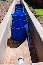 A series of blue perforated buckets placed in a narrow, rectangular concrete channel with sunlight casting shadows. The channel appears to be part of an outdoor setup, possibly for water collection or filtration. The surroundings include some green grass and brown gravel.