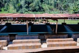 An outdoor structure with several compartments labeled FT4, FT5, and FT6, covered by a corrugated metal roof. The compartments appear to be part of a processing or washing area, possibly for agricultural products. The background features lush green vegetation and trees on a sloping landscape.