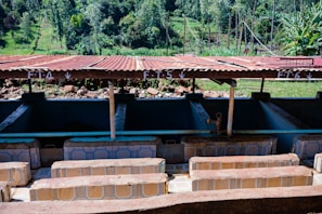 An outdoor structure with several compartments labeled FT4, FT5, and FT6, covered by a corrugated metal roof. The compartments appear to be part of a processing or washing area, possibly for agricultural products. The background features lush green vegetation and trees on a sloping landscape.