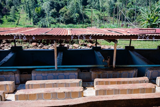 An outdoor structure with several compartments labeled FT4, FT5, and FT6, covered by a corrugated metal roof. The compartments appear to be part of a processing or washing area, possibly for agricultural products. The background features lush green vegetation and trees on a sloping landscape.