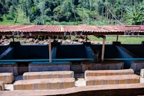 An outdoor structure with several compartments labeled FT4, FT5, and FT6, covered by a corrugated metal roof. The compartments appear to be part of a processing or washing area, possibly for agricultural products. The background features lush green vegetation and trees on a sloping landscape.