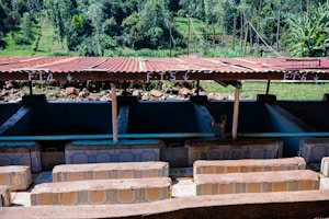 Innovative Food Tech Solutions
