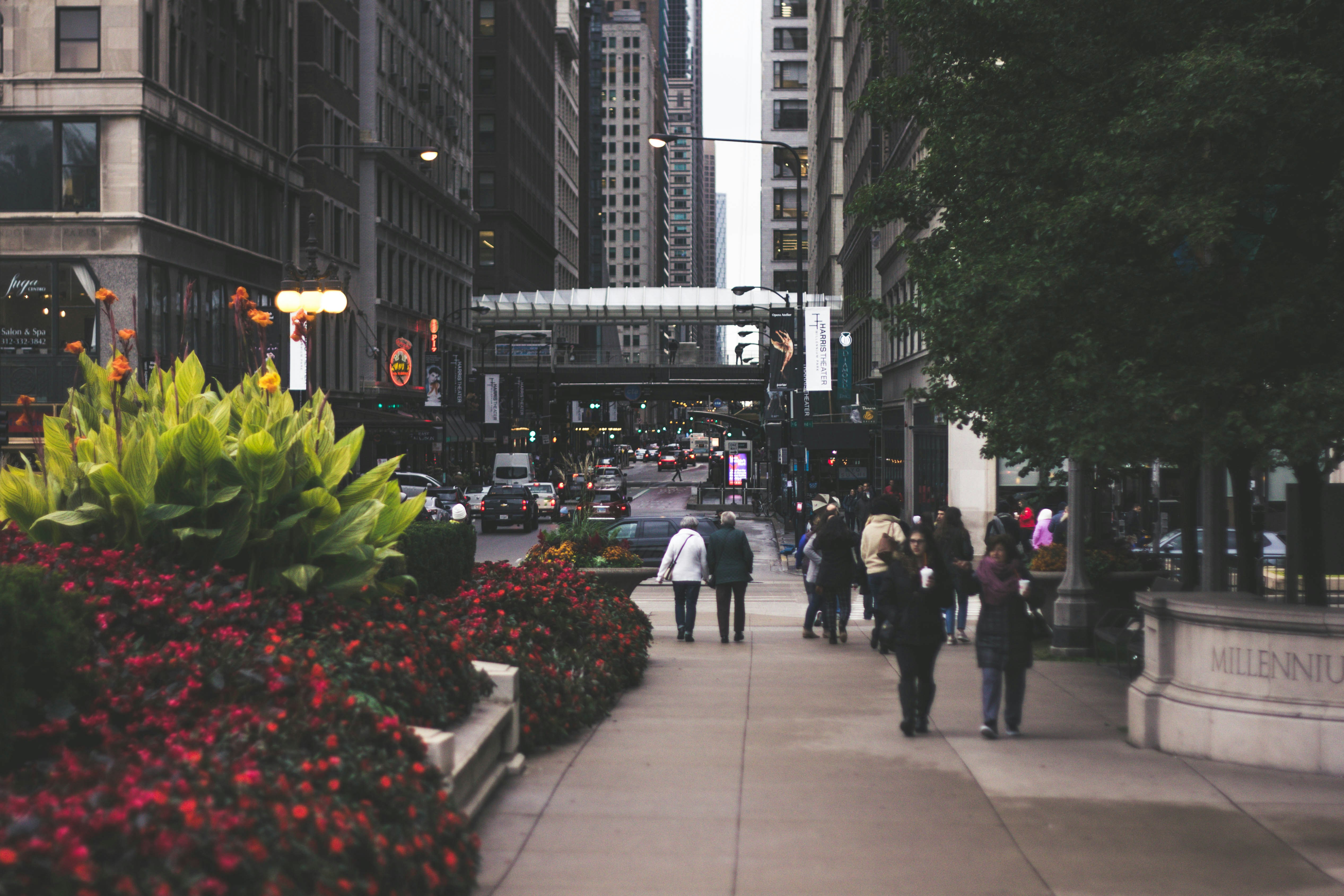 Timeless romance in the Windy City: An older couple enjoys a leisurely stroll down Madison Street, Chicago.