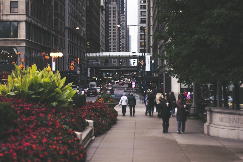 a group of people walking down a street next to tall buildings