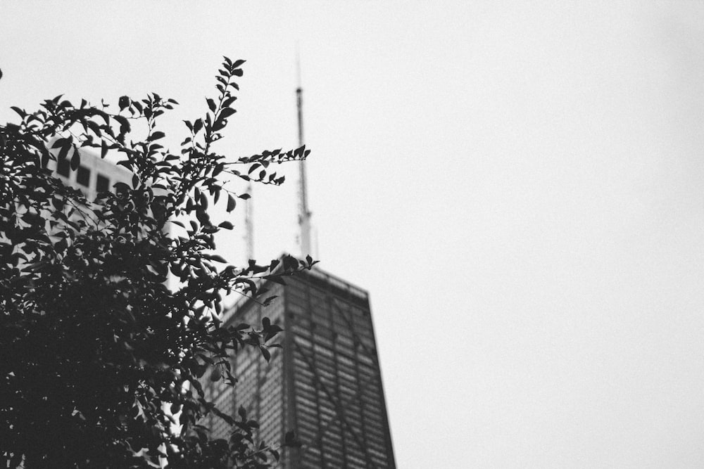 a black and white photo of a tall building