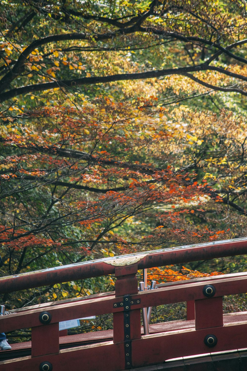 a bird sitting on top of a red bridge