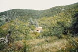 Cozy tiny house nestled among lush greenery on a hillside in Sainte Luce.