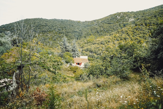 Cozy tiny house nestled among lush greenery on a hillside in Sainte Luce.