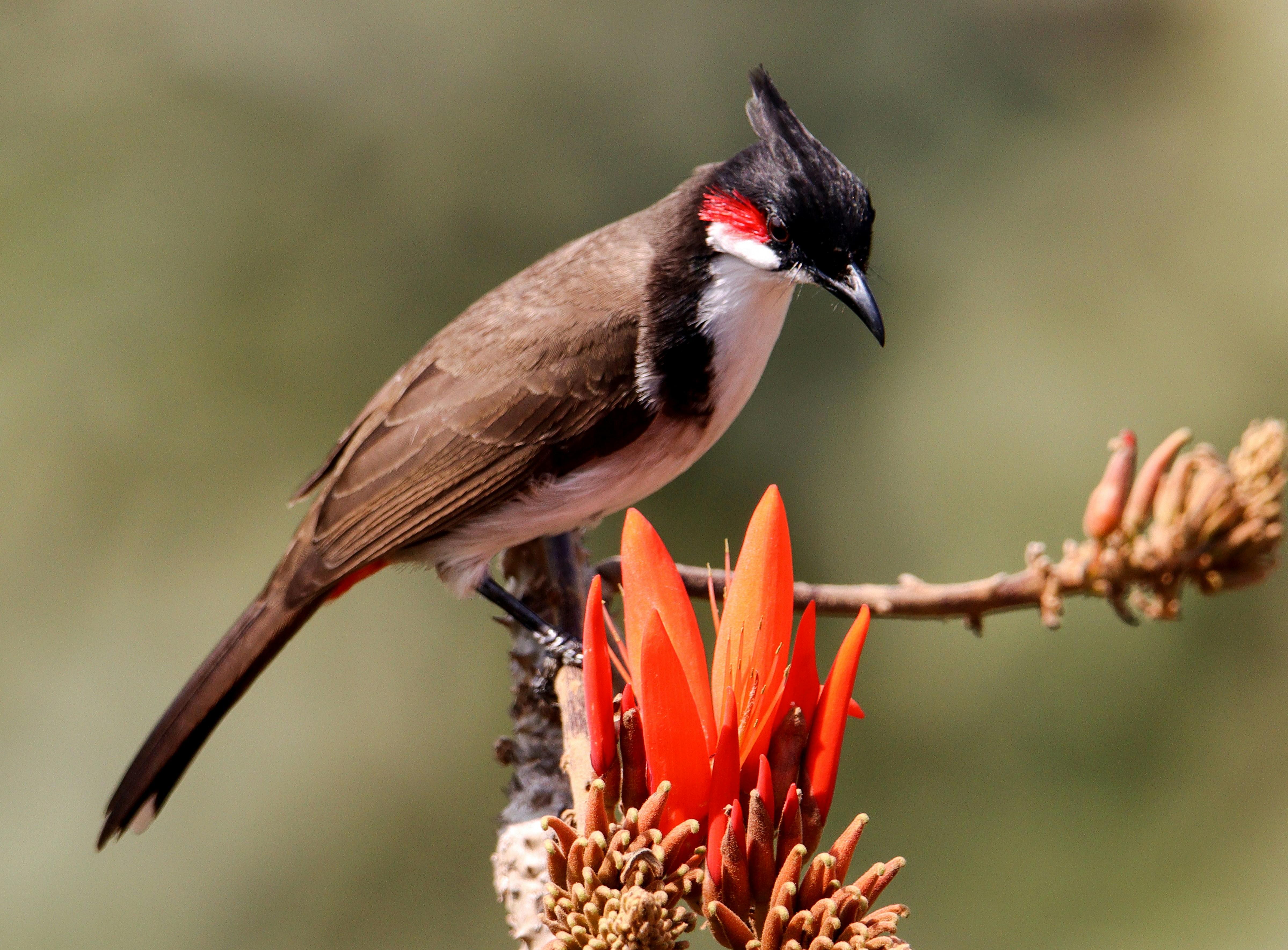 Photo by mhphotography13