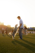 a man playing with a dog on a field