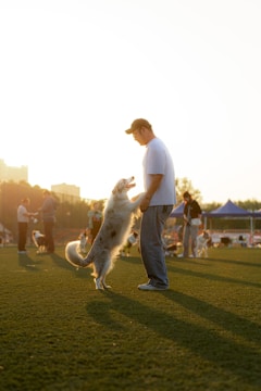 A person wearing a cap and white T-shirt is interacting with a playful dog standing on its hind legs on a grassy field surrounded by people and more dogs. The sun is low in the sky, casting long shadows and bathing the scene in warm, golden light.