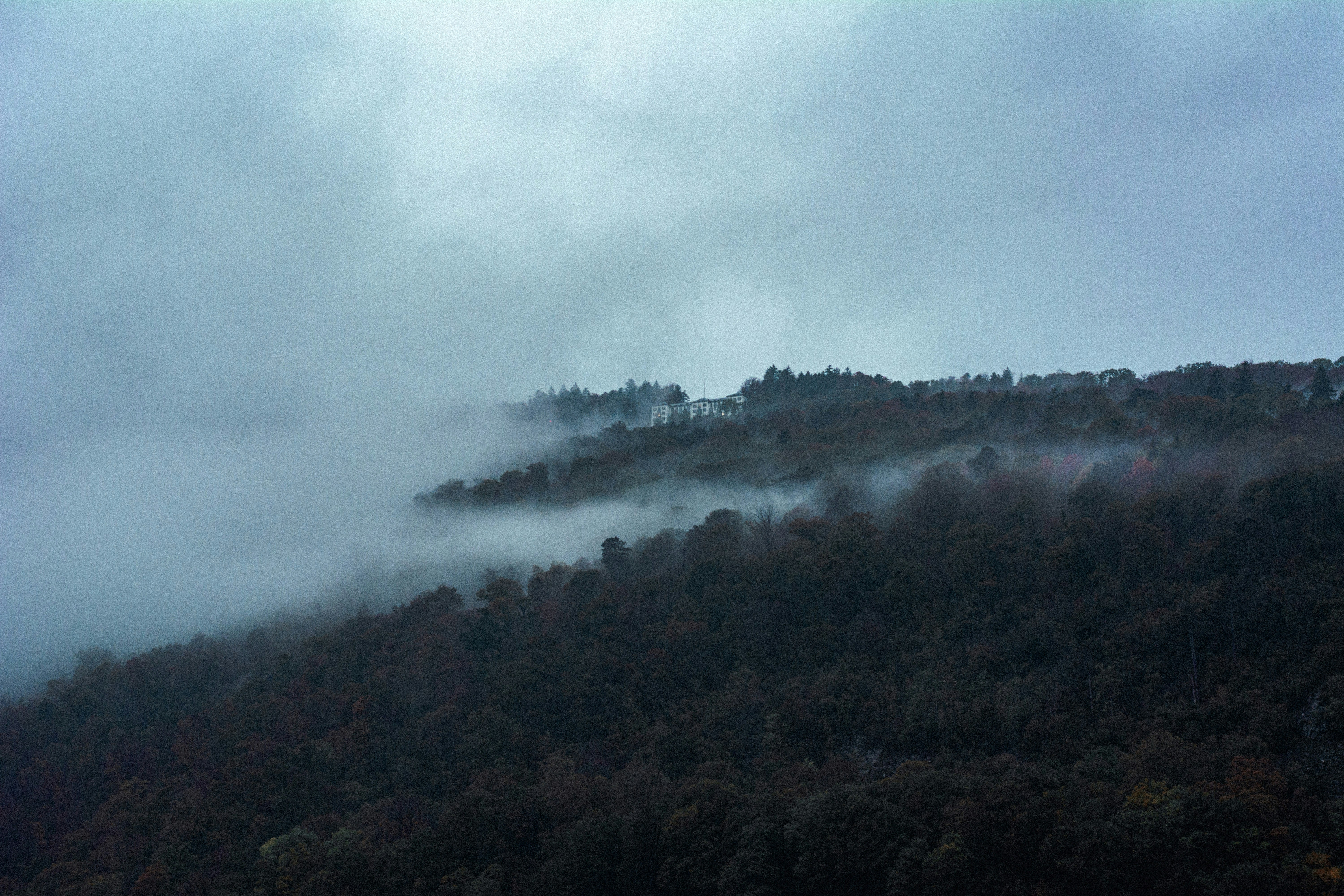 Photo by miguel_ind0