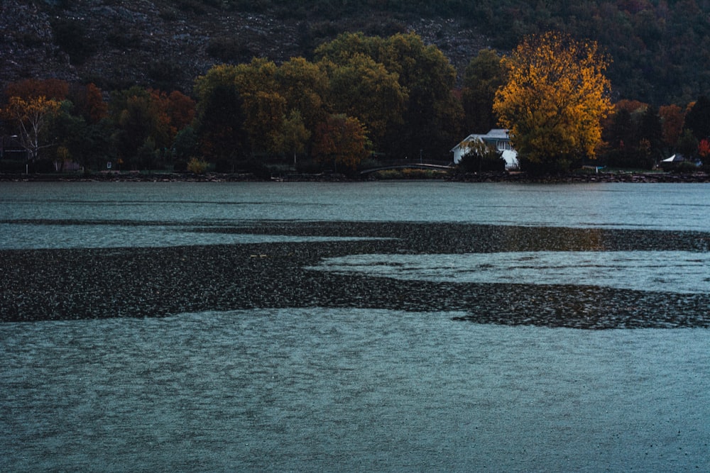 a body of water with trees in the background