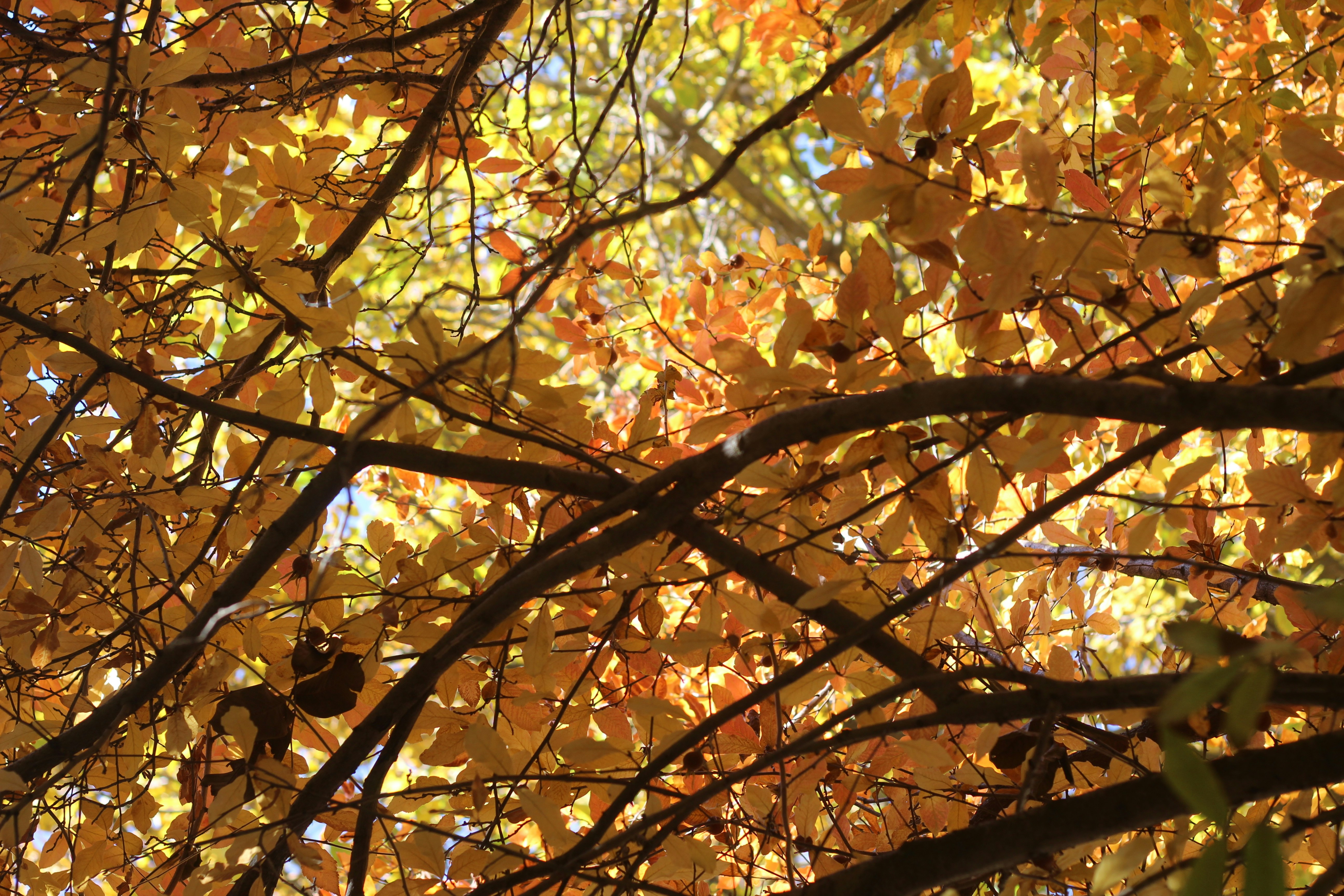 Photo by saleh_aka_jim