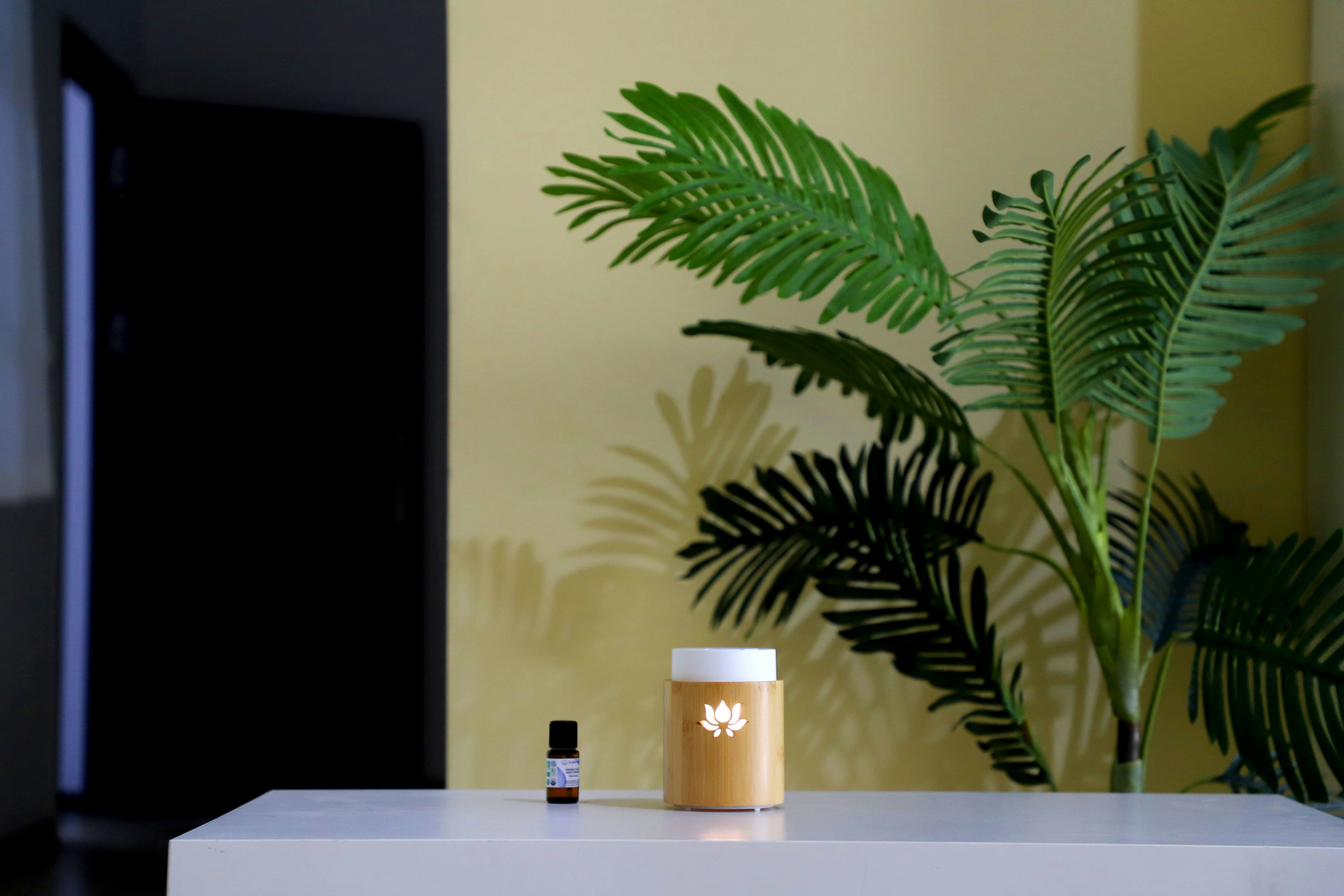 Photo by tonyatloxim