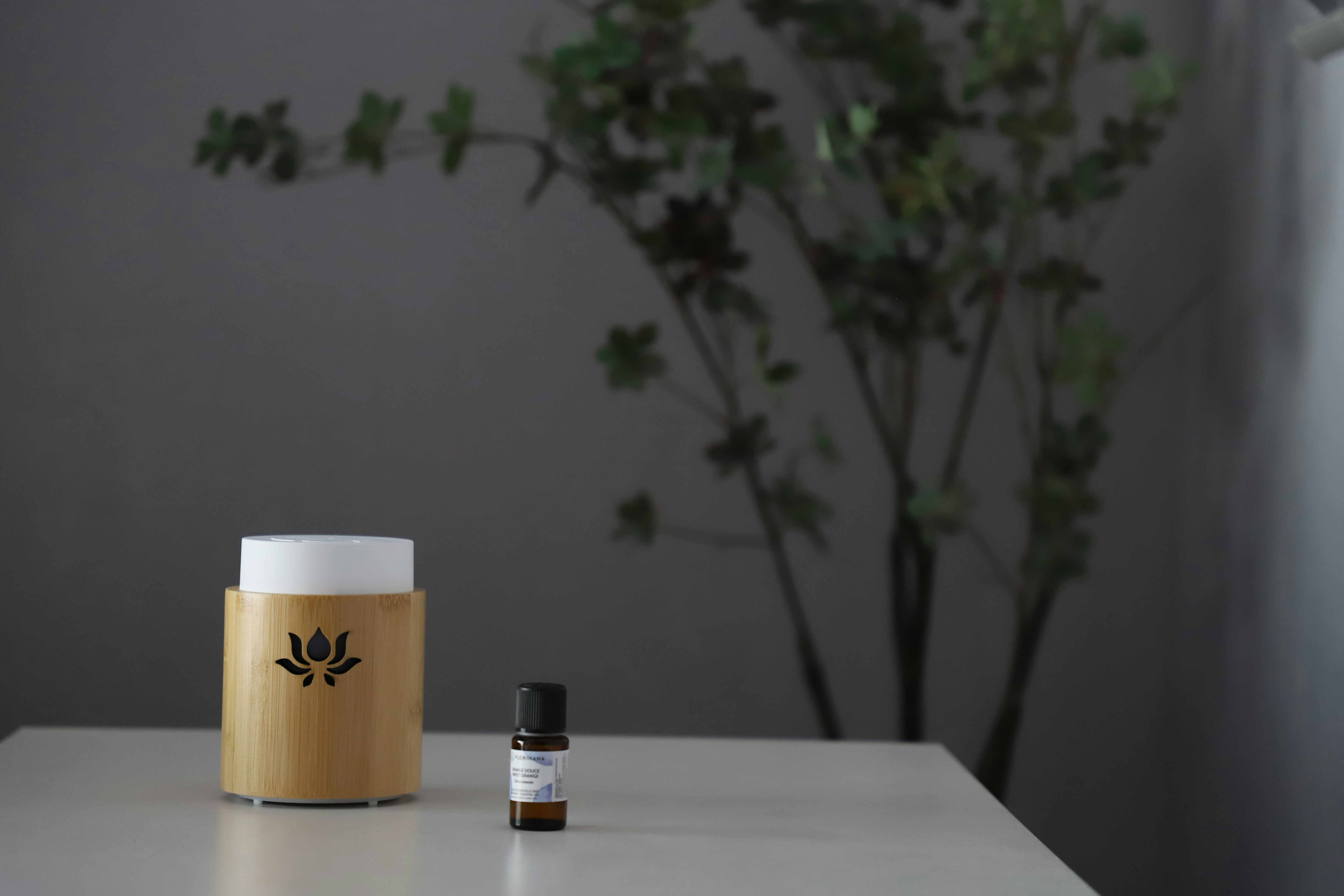 Aromas Agradáveis: Como Deixar Sua Casa Cheirosa Naturalmente