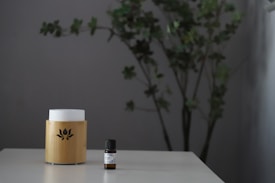 A wooden essential oil diffuser with a lotus design sits on a light-colored table. Next to it, there is a small bottle of essential oil. In the background, a blurred plant with green leaves against a gray wall adds a touch of nature.