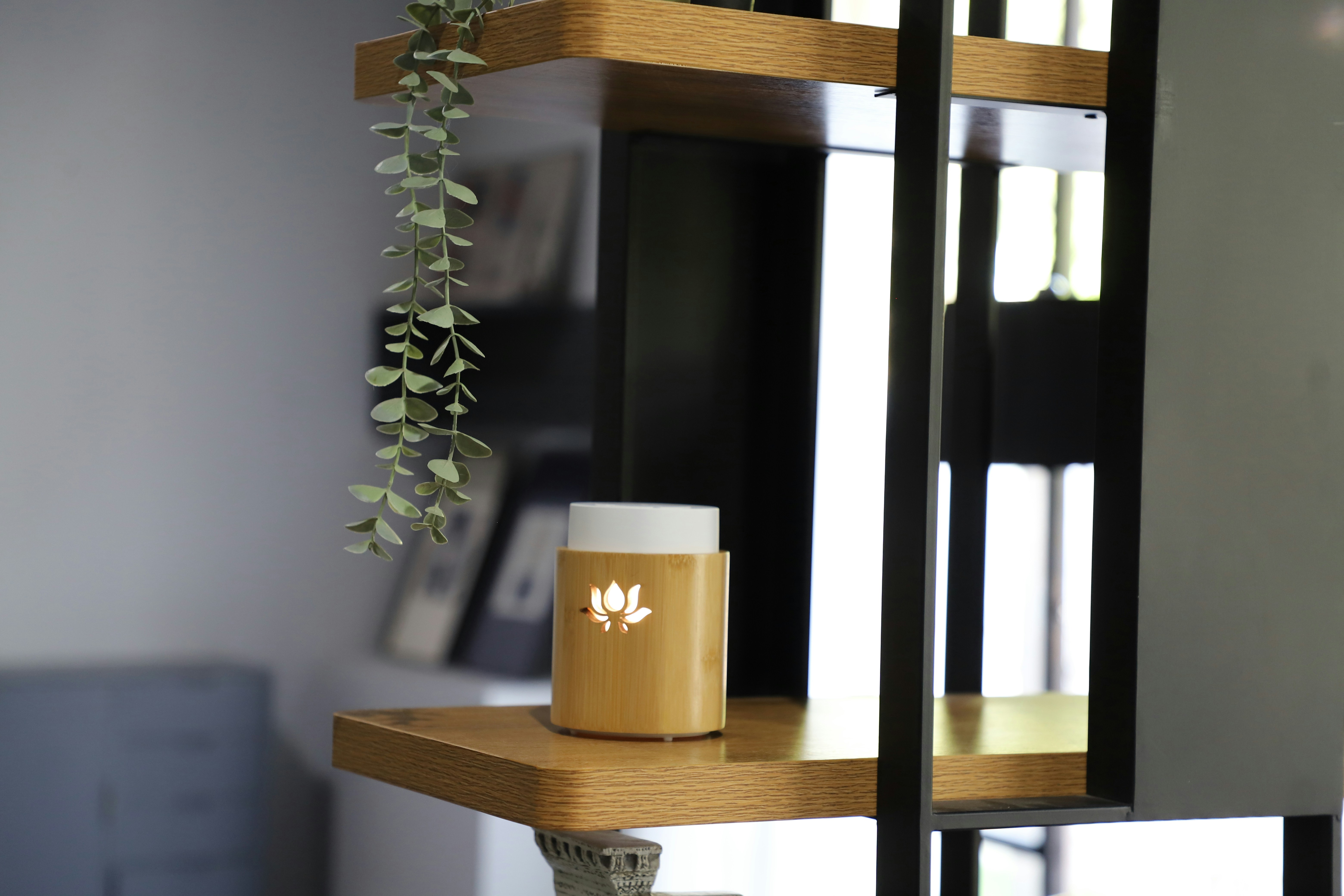 Photo by tonyatloxim