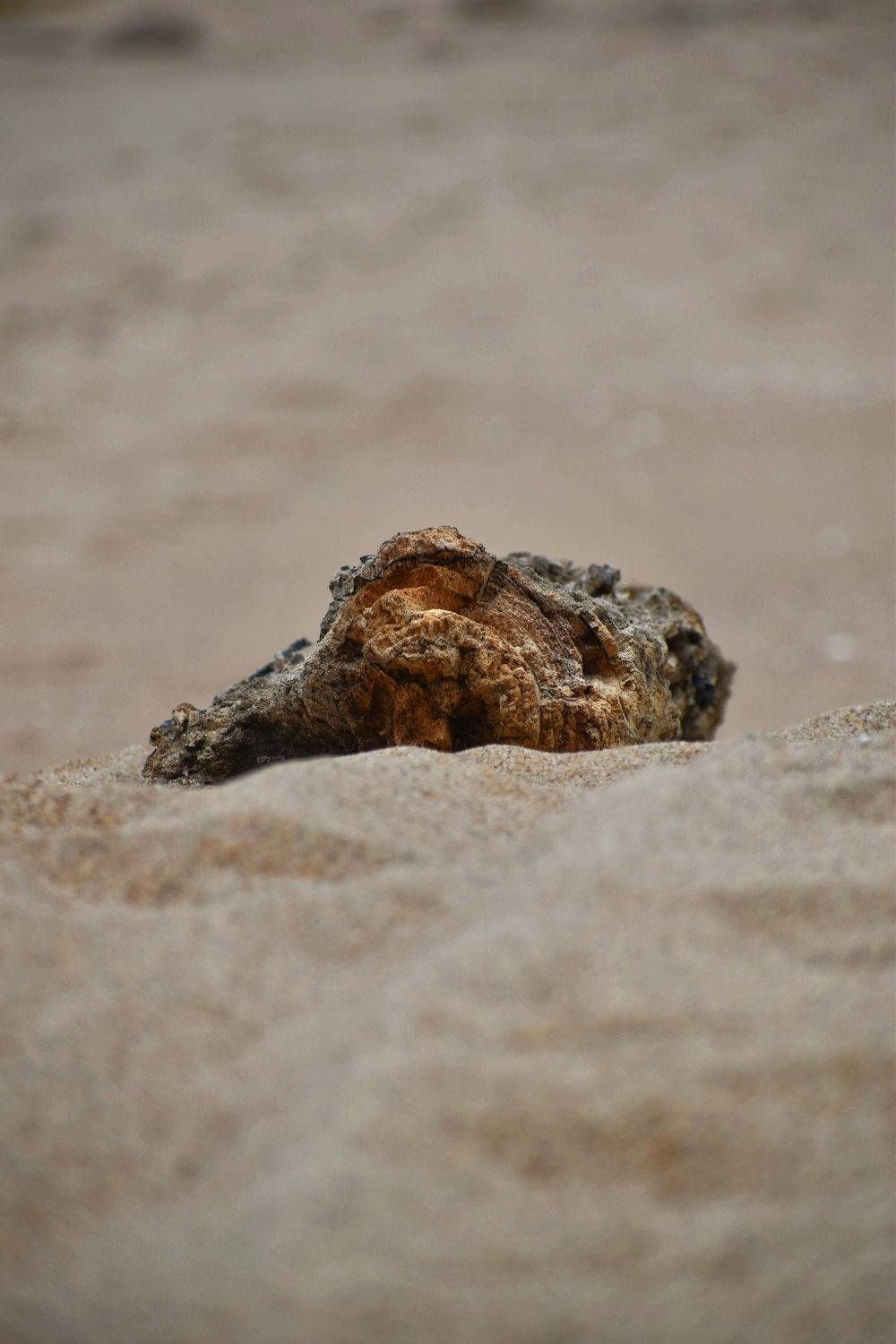 uma rocha saindo da areia em uma praia