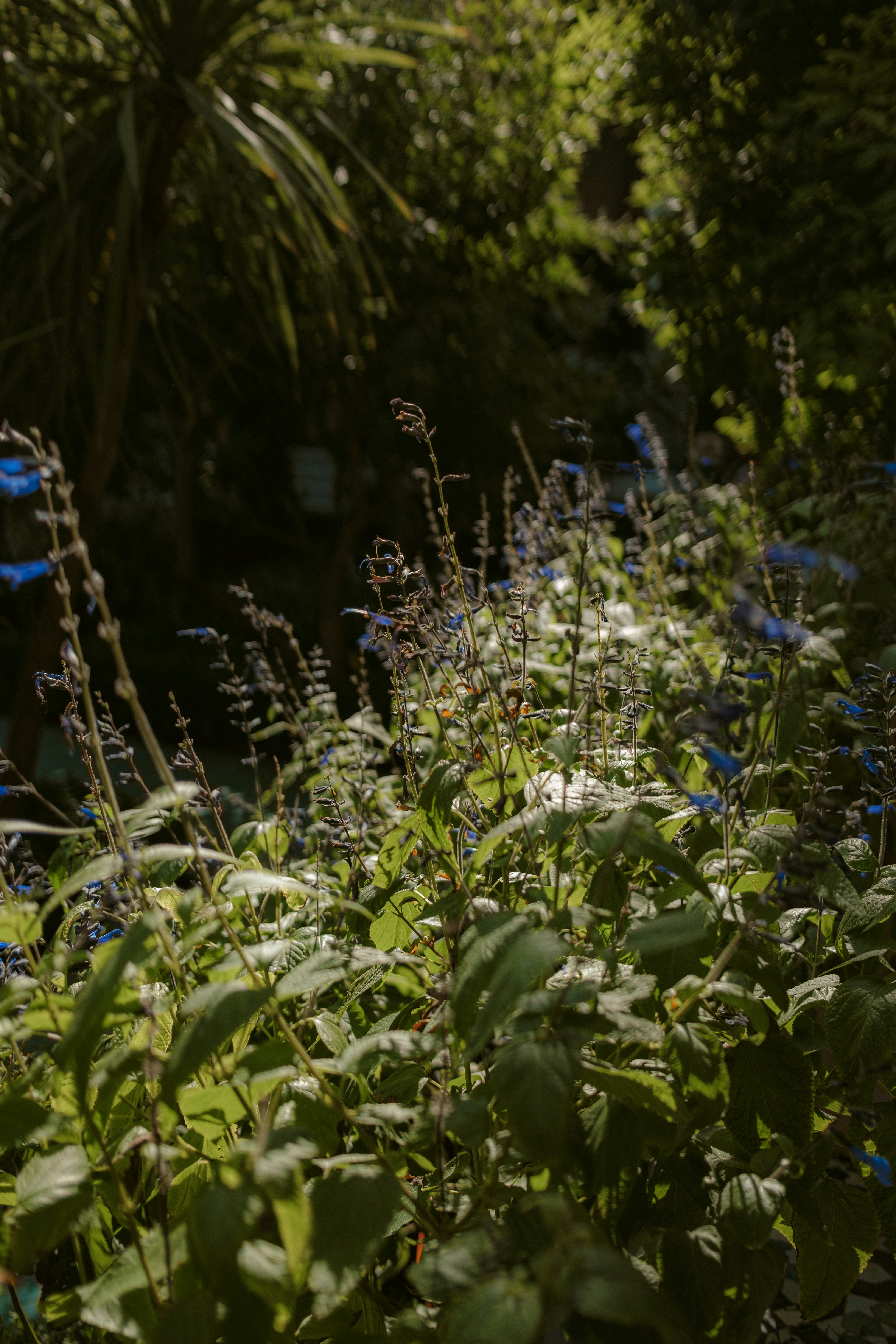 Photo by valentinlacoste