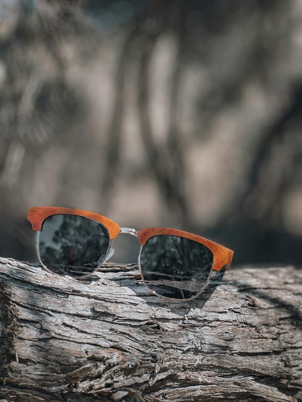 a pair of sunglasses sitting on top of a tree branch