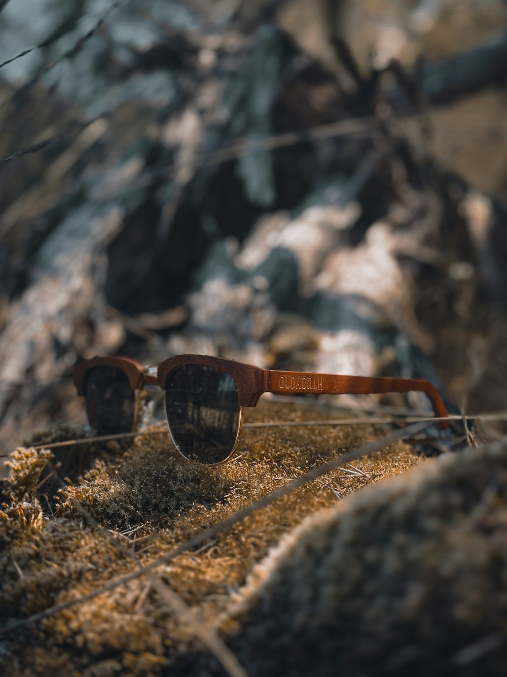 a pair of sunglasses sitting on top of a moss covered ground