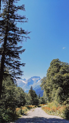 A serene mountain trail winding through lush green forests with distant peaks under a clear blue sky.