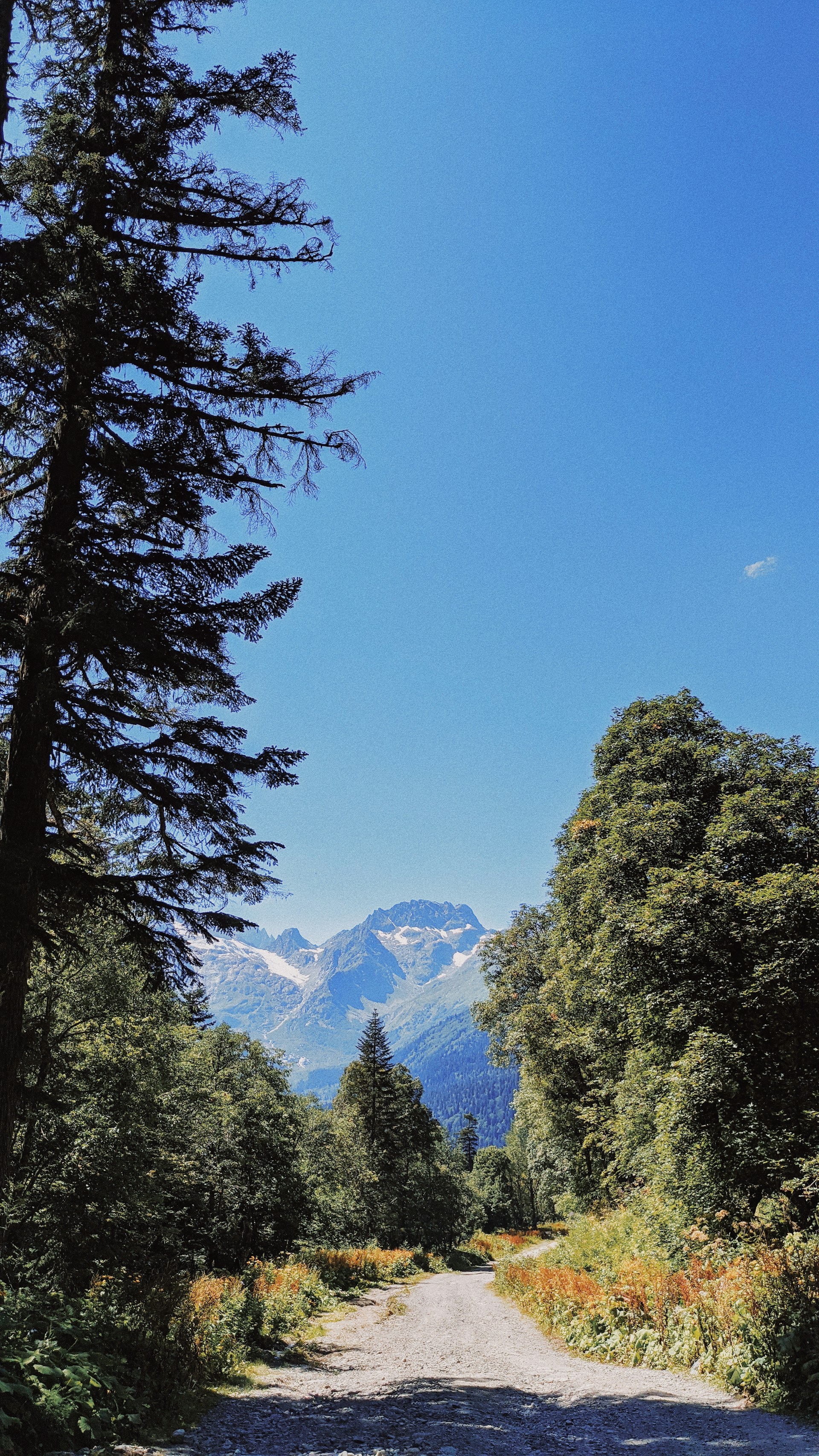 gray computer monitor