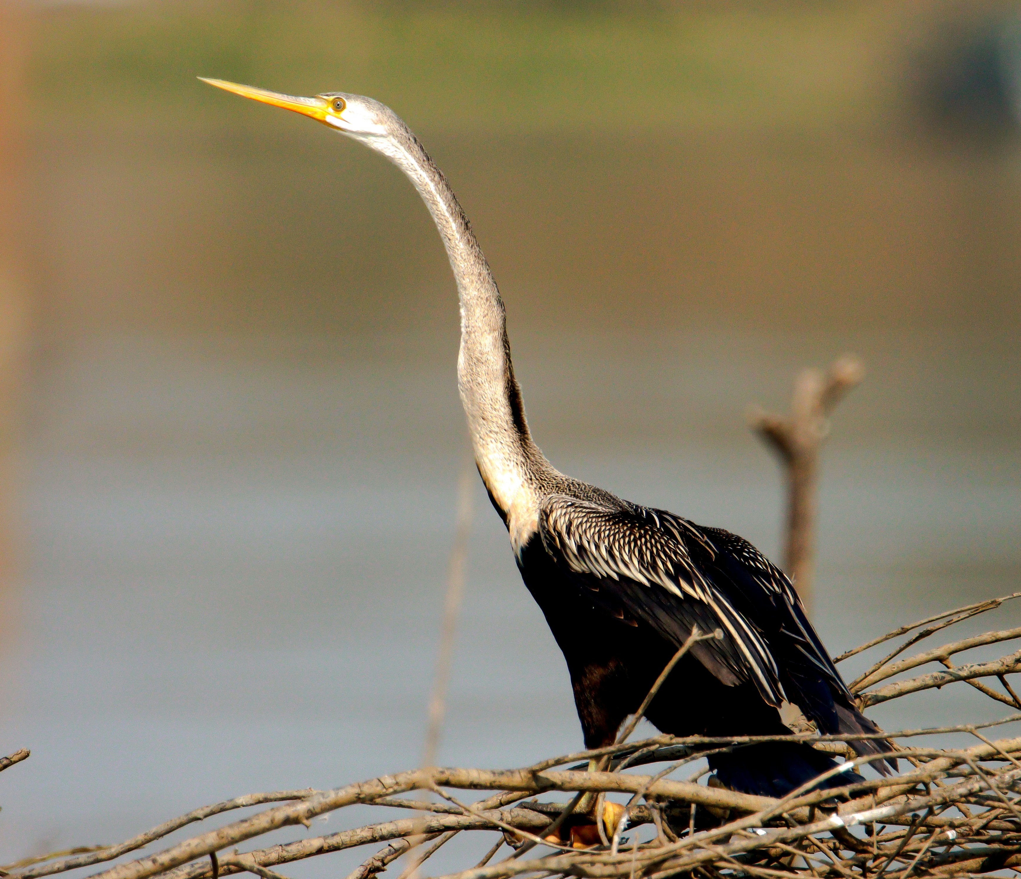 Photo by mhphotography13