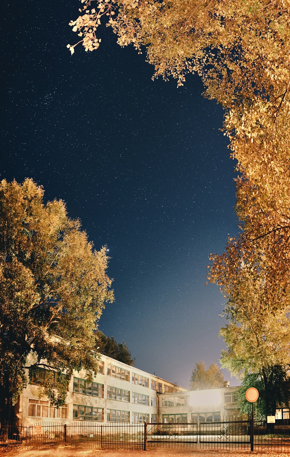 a night time view of a building and trees