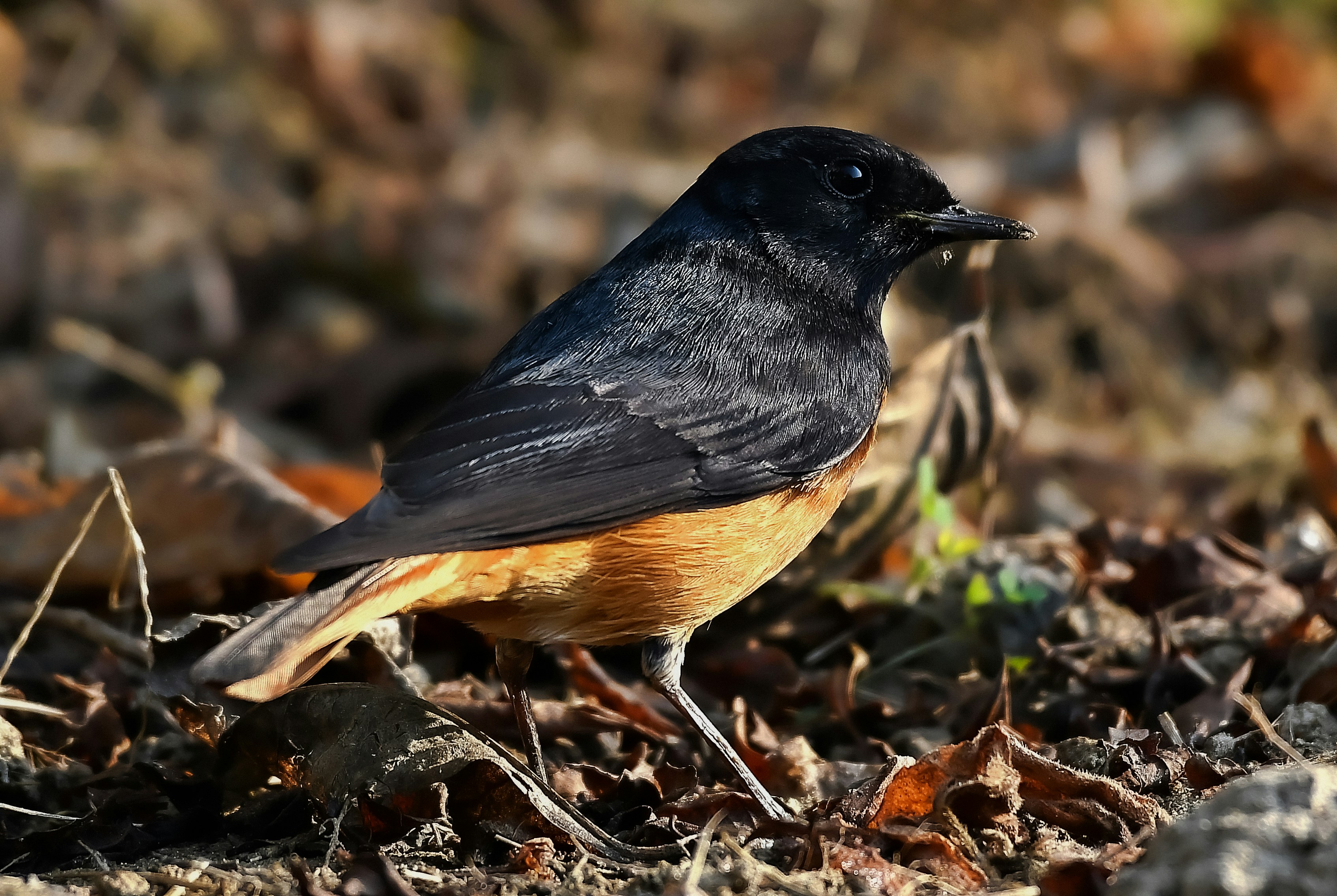 Photo by mhphotography13