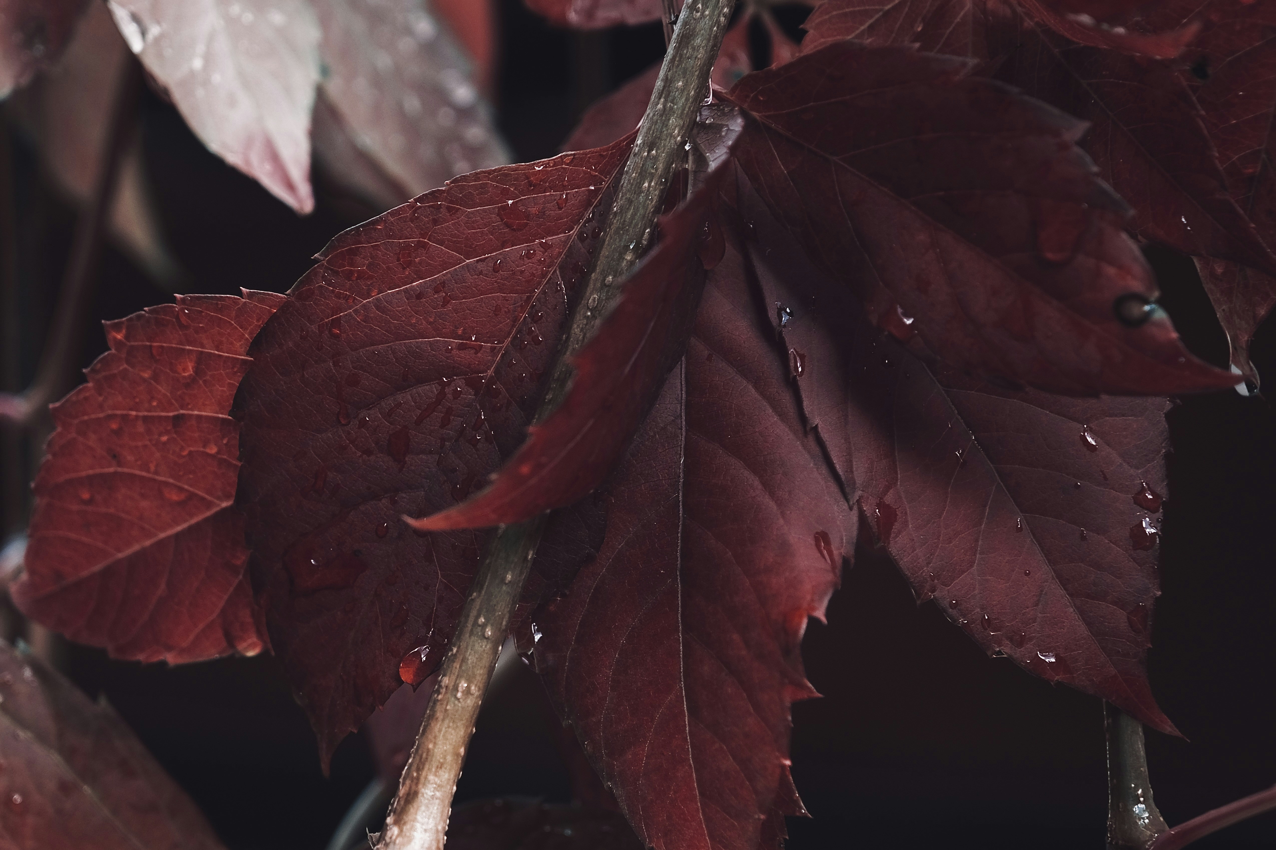 Photo by mkrawczynski