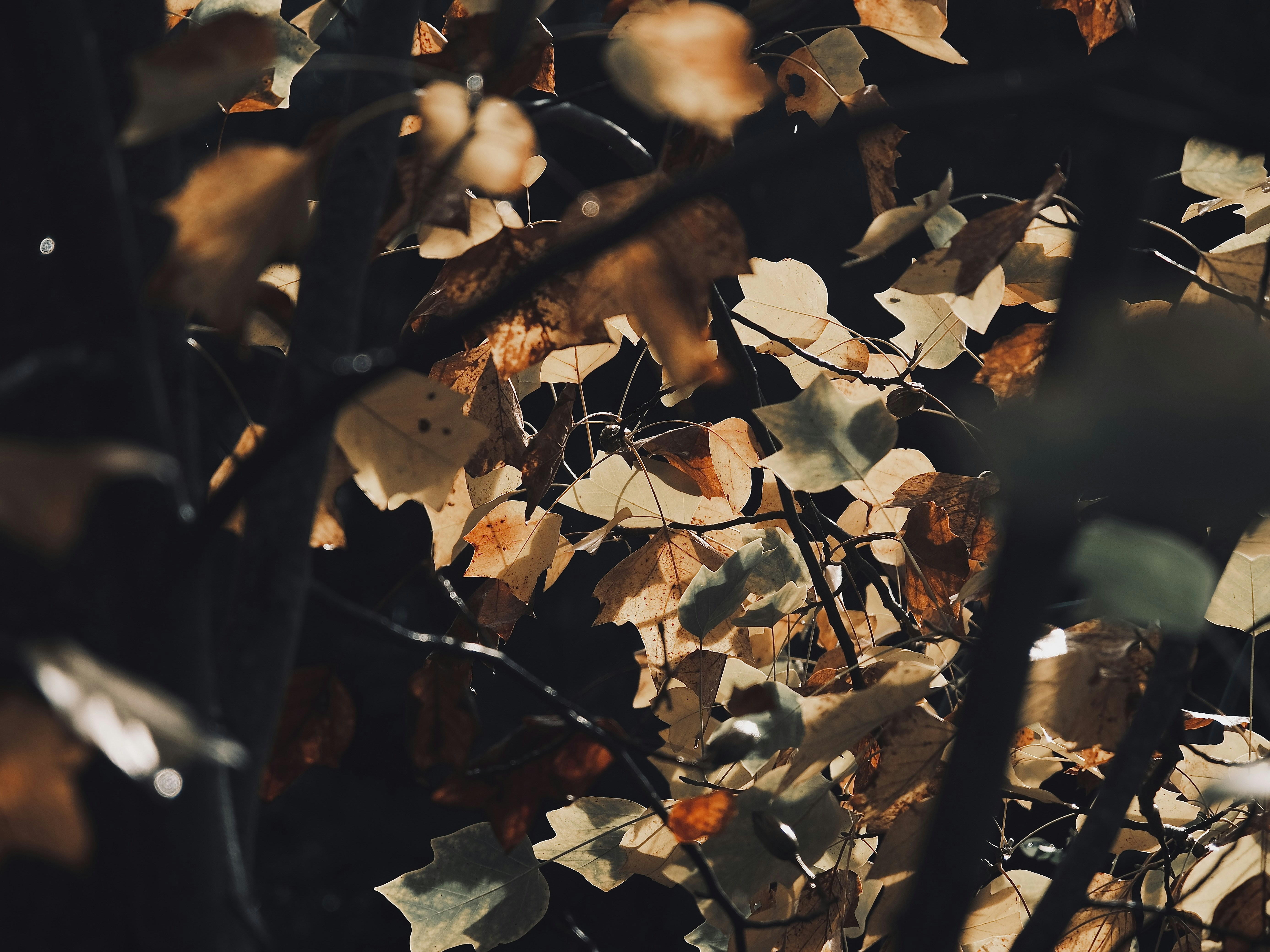 Photo by mkrawczynski