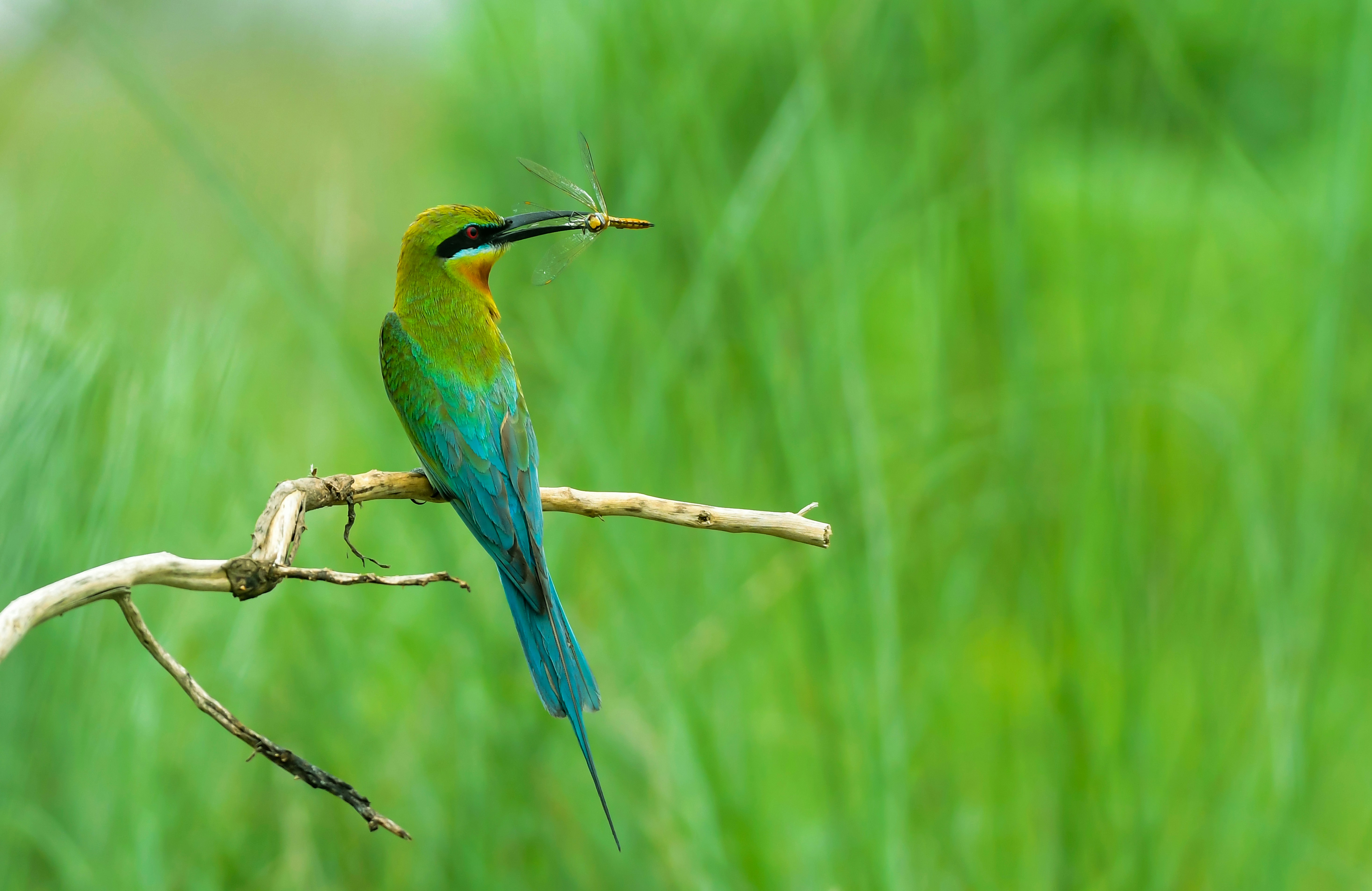 Photo by mhphotography13