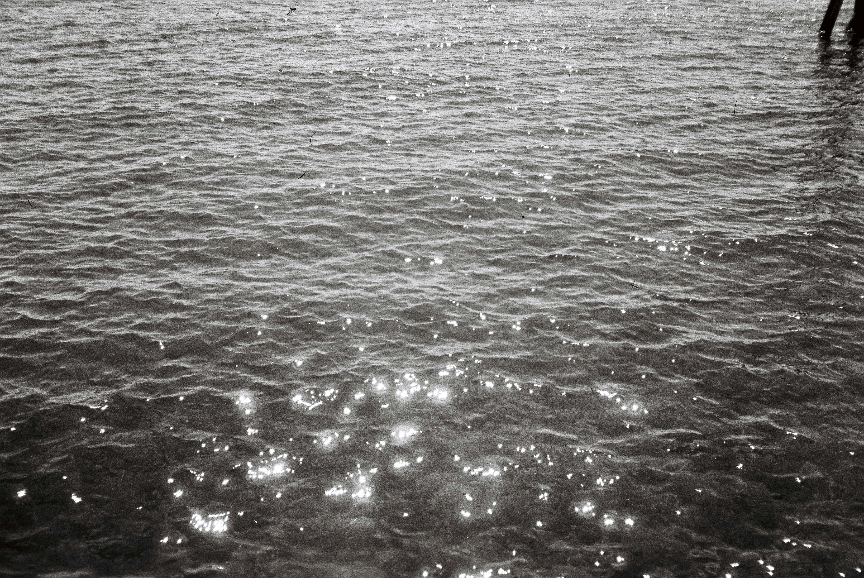 Photo by louisbraendlin