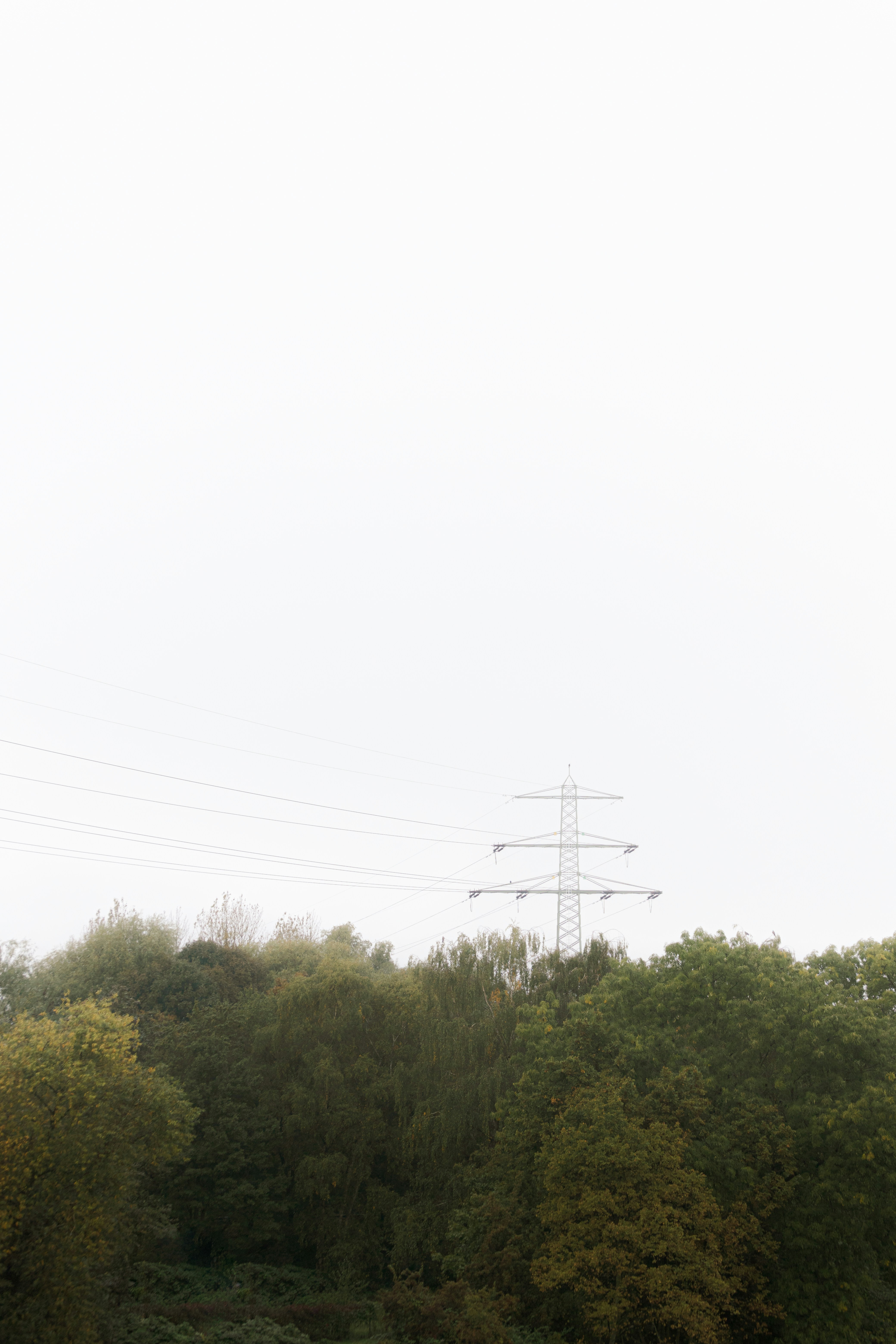 Photo by karlhornfeldt