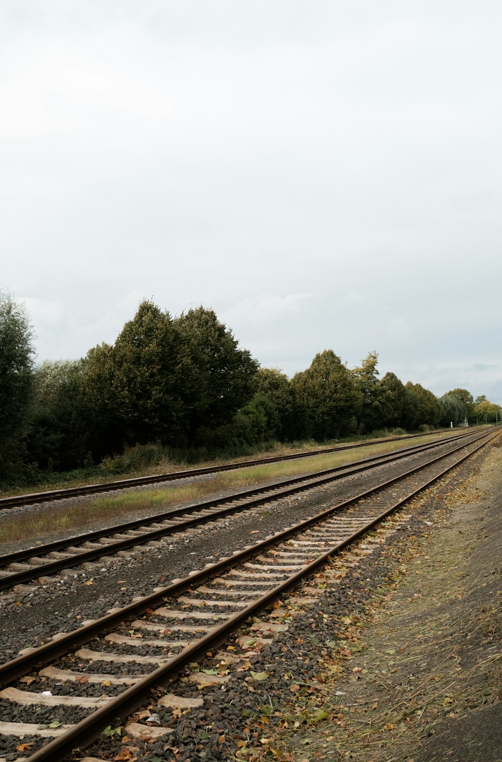 a train track with trees in the background