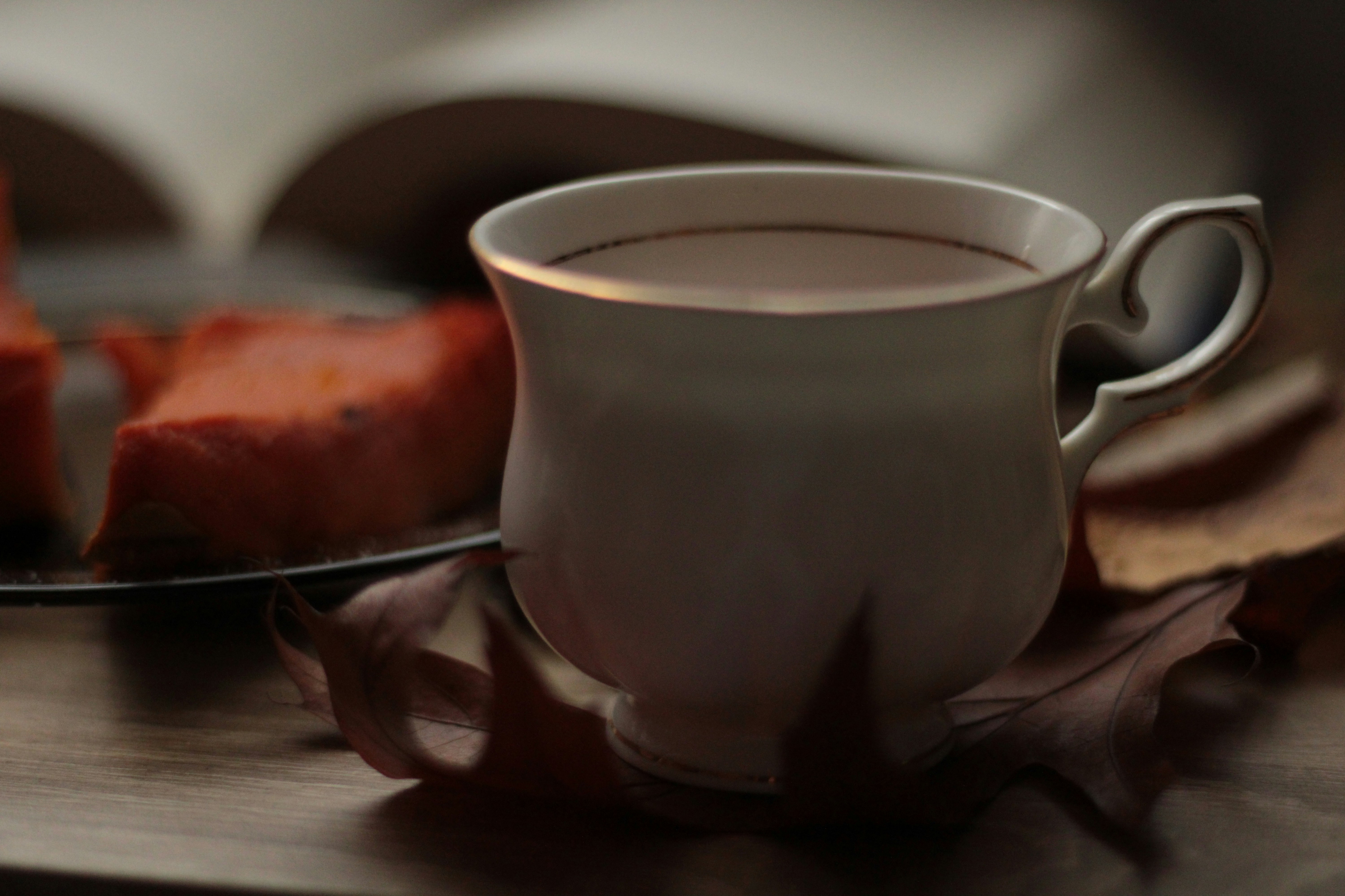 Photo by thorai9akira