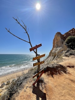 A bright sun shines over a scenic ocean view with clear blue skies. A signpost with multiple direction signs labeled 'Enjoy the Ocean,' 'Surf School,' and 'Adventure' stands beside a rugged coastline. The sandy path leads down to the beach, and small waves can be seen lapping at the shore.