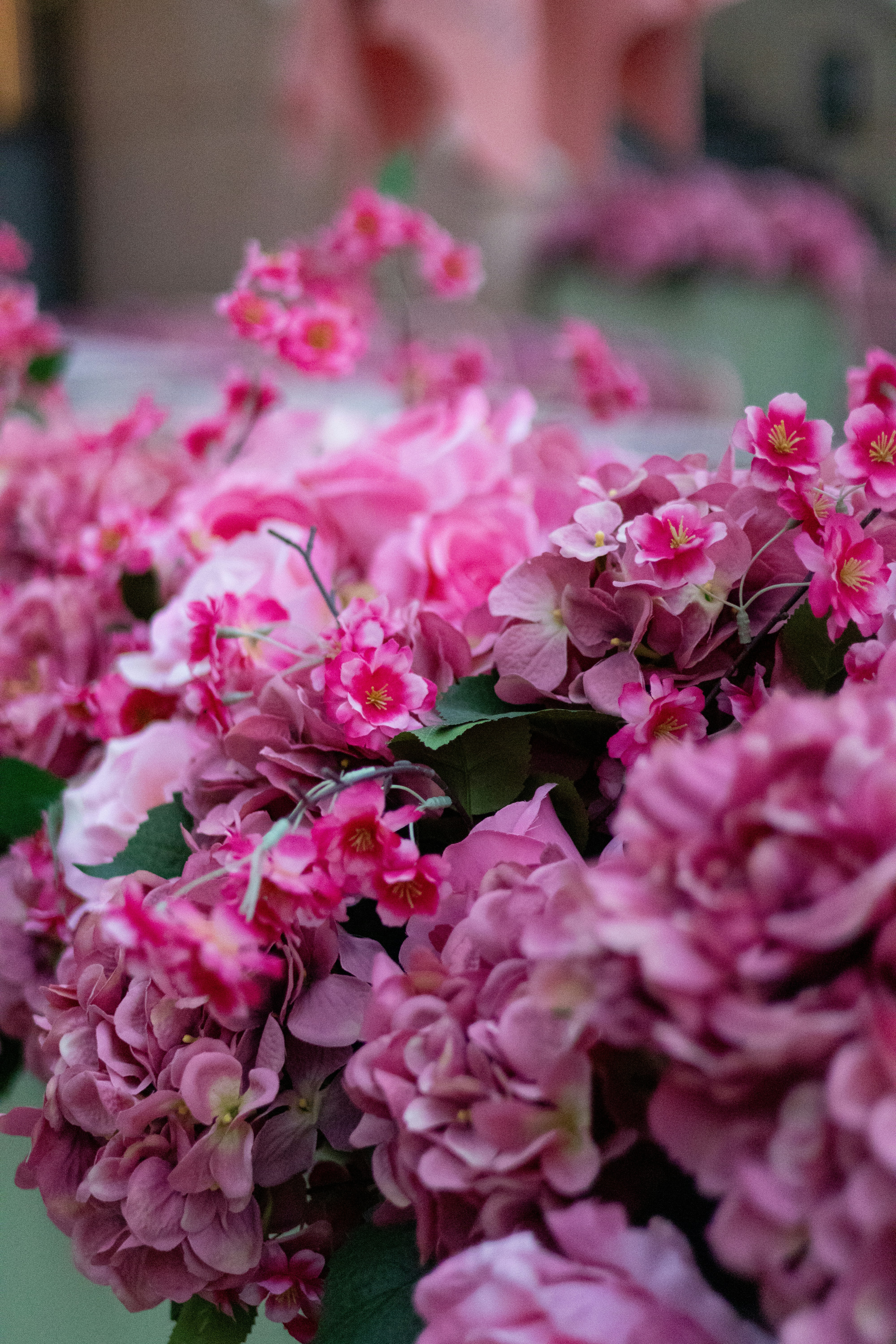 Photo by anyutakejbalo