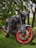 A sleek, black motorbike with red highlights on its rims and trim, parked on a grassy area surrounded by trees and foliage. The bike is detailed with modern components and appears well-maintained.