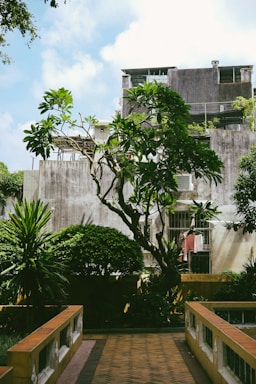 An inviting image of a community garden in Martsa village.