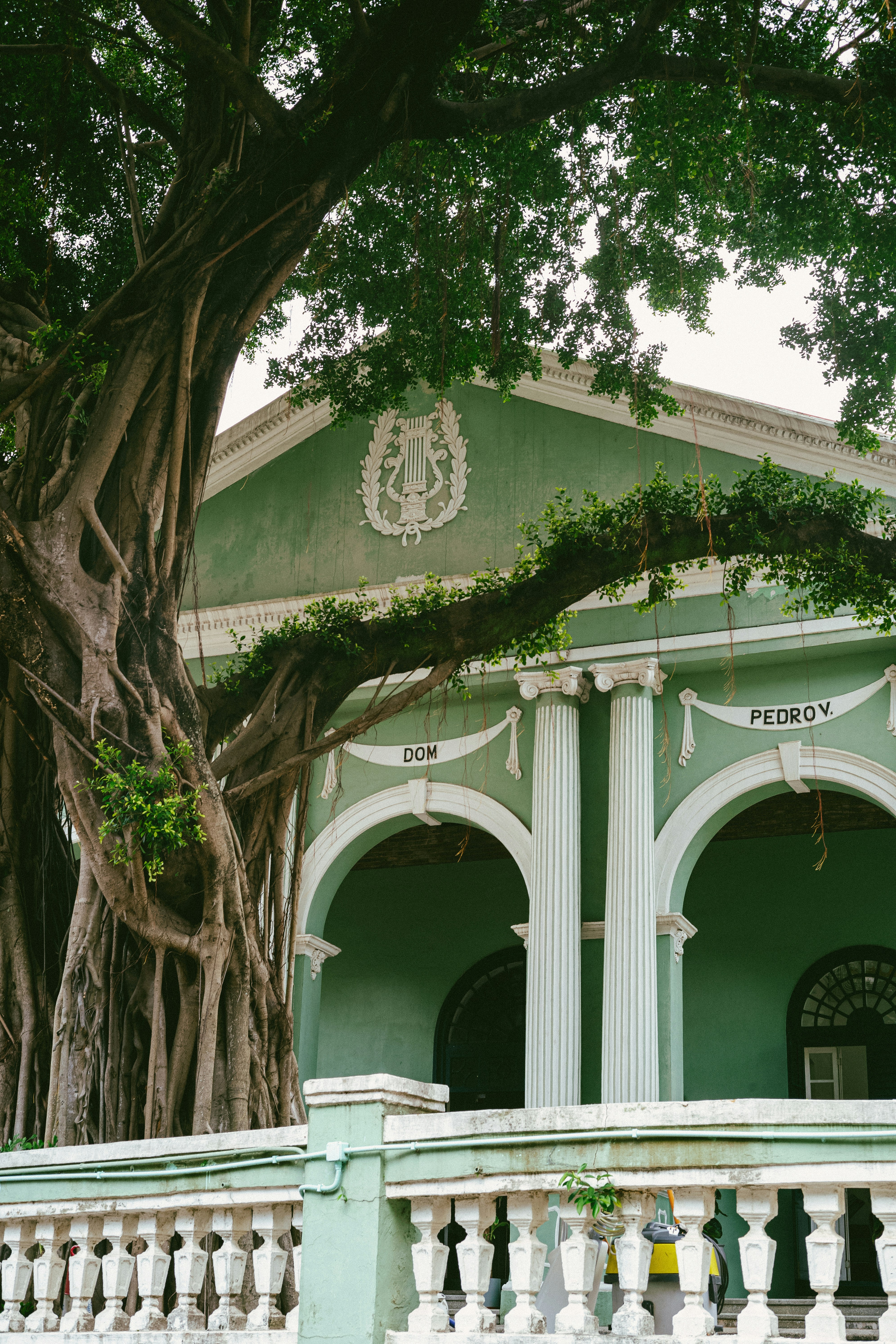 Photo by tommaomaoer