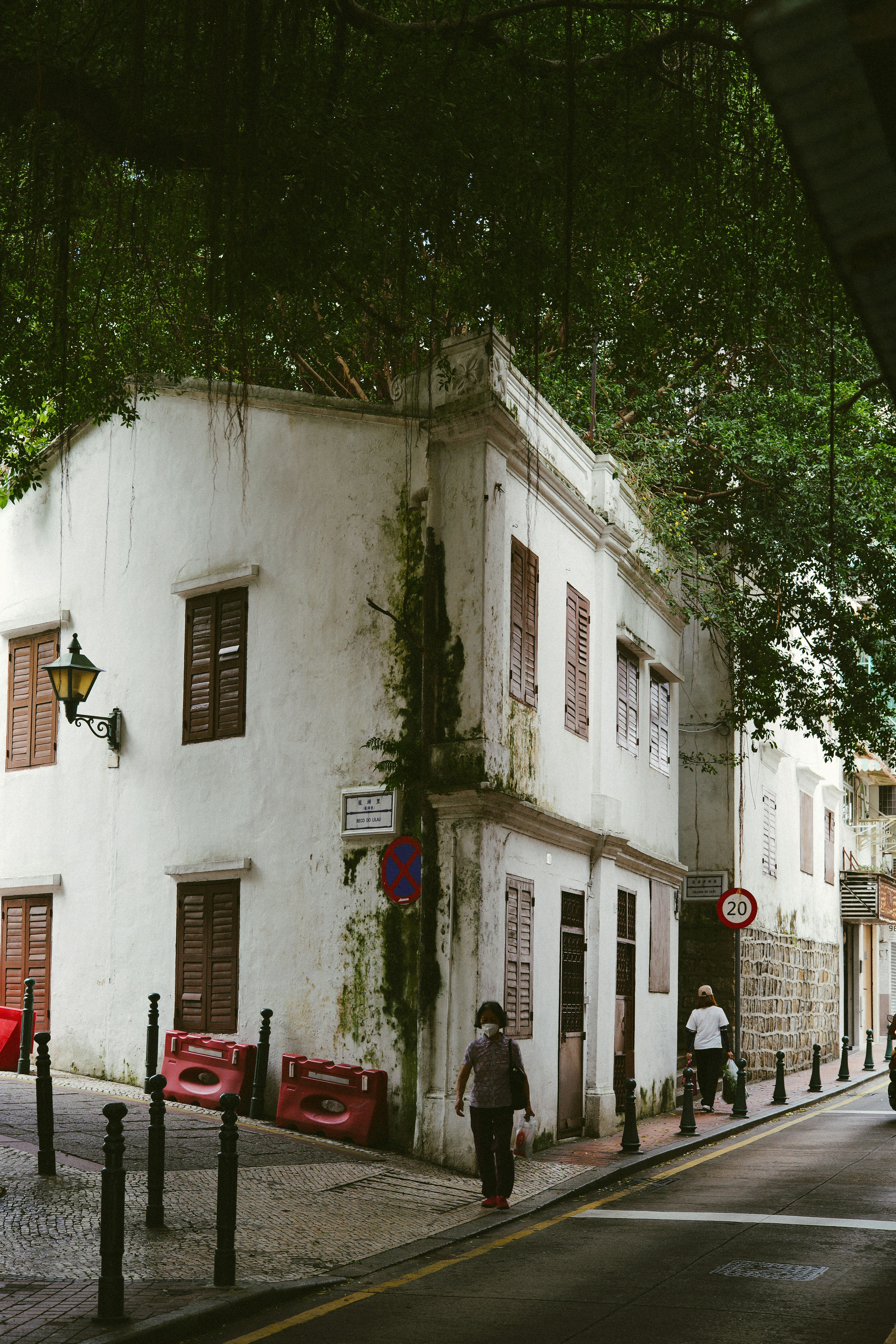 Photo by tommaomaoer