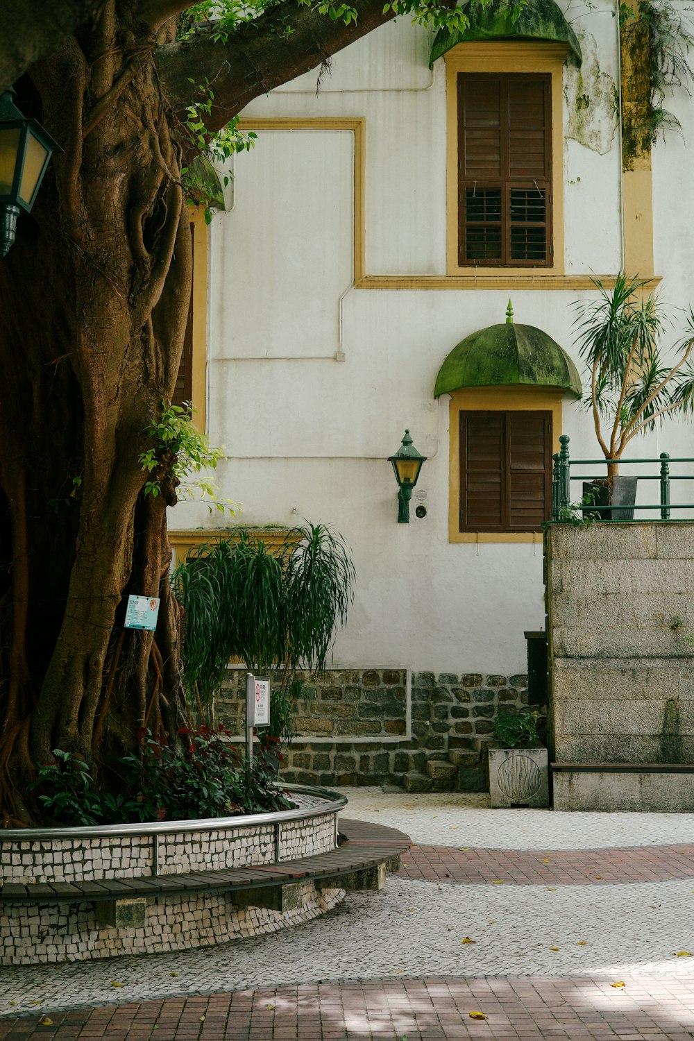 a large tree in front of a white building