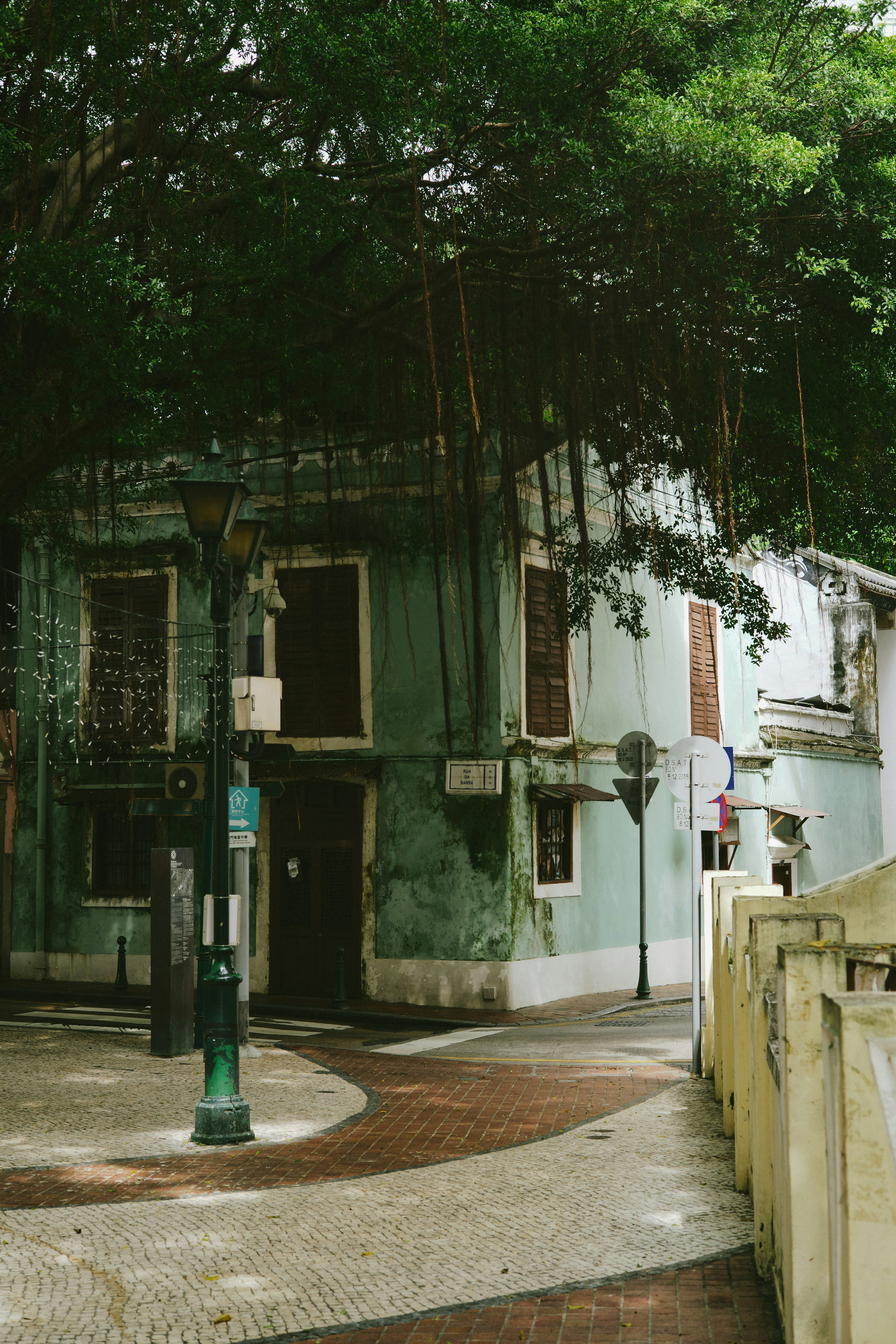 Photo by tommaomaoer