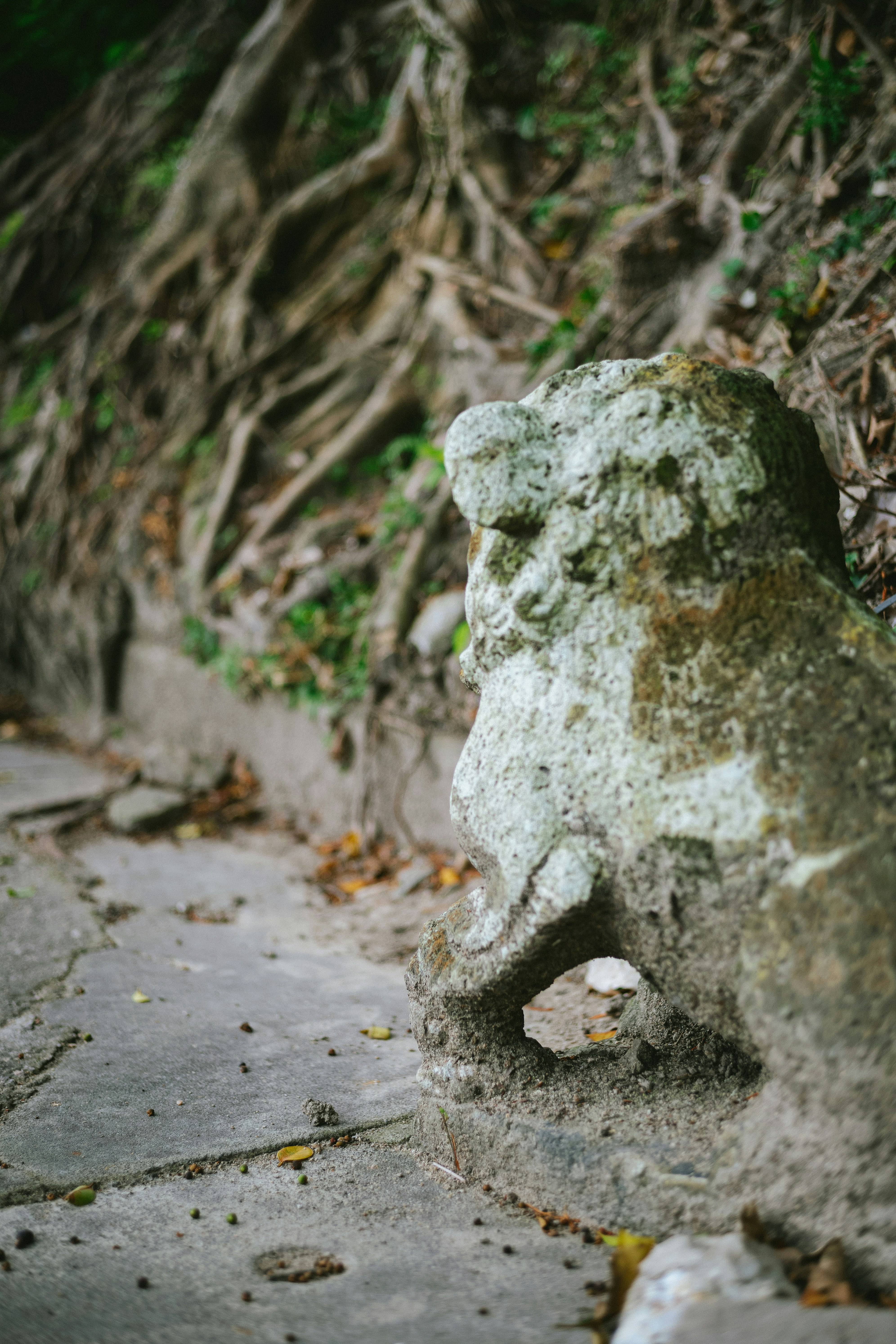 Photo by tommaomaoer