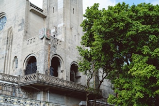 A historic stone building with arched windows and a shield emblem on its facade stands next to a large, lush green tree. The architecture has a medieval appearance with decorative elements and stained glass windows.